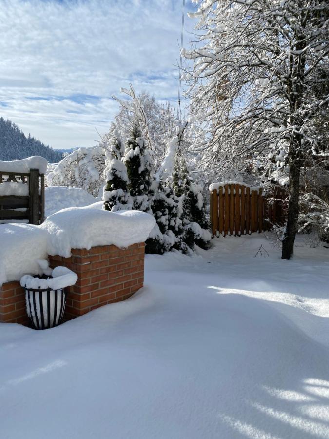 Haus Alpenrose Apartment Waidring Exterior photo